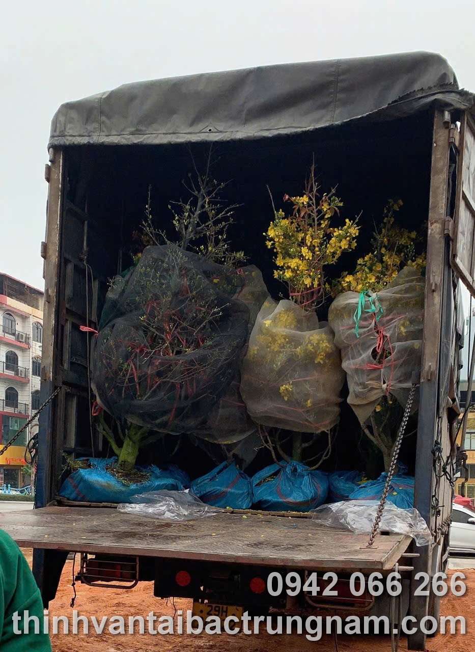 Vận chuyển hàng hóa